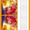 Verjaardagskalender