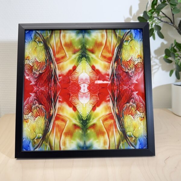 Acrylglas - december