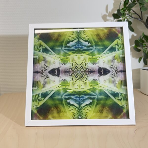 Acrylglas - februari